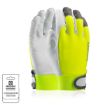 Slika Rukavice ARDON®HOBBY ARDON®REFLEX s kartončićem